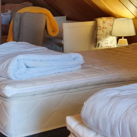 Viihtyisae Hirsimoekki Jaerven Rannalla Chalet