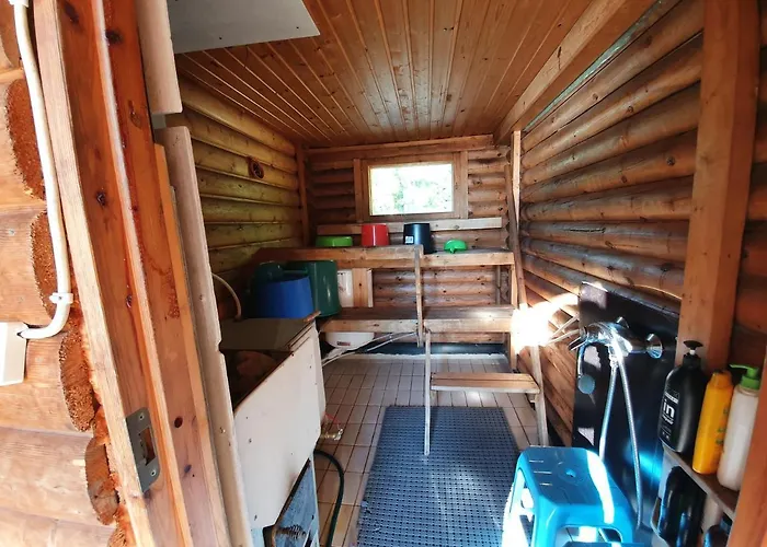 Viihtyisae Hirsimoekki Jaerven Rannalla Siikainen