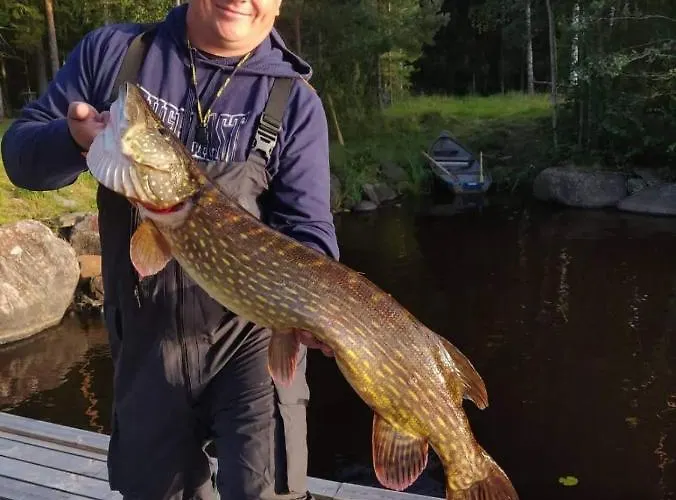 Viihtyisae Hirsimoekki Jaerven Rannalla Chalet Siikainen