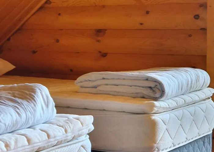 Viihtyisae Hirsimoekki Jaerven Rannalla Chalet